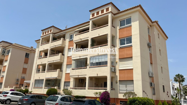 Apartment - Reventa - Playa Flamenca - Playa Flamenca