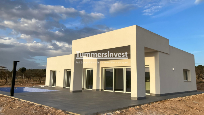 detached · New Build · Pinoso · Pinoso