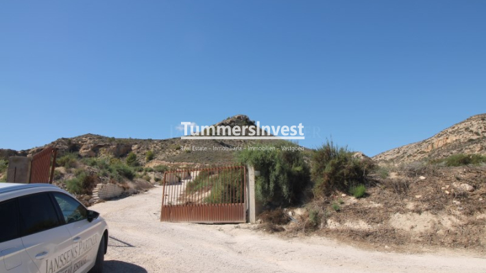 Land - Resale - Aspe - JP-13564