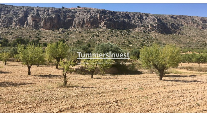 Land - Wiederverkauf - La Romana - La Romana