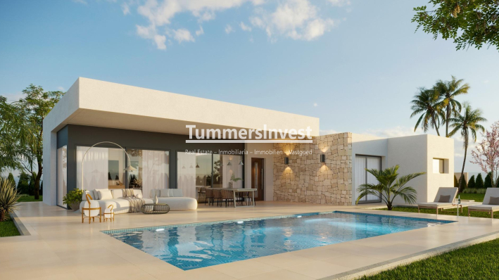 Villa · New Build · Aspe · Poligono 19
