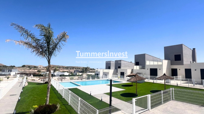 Villa - New Build - Banos y Mendigo - NBR-22233