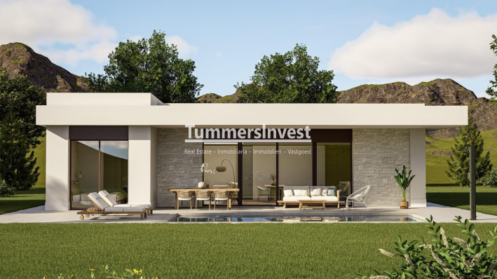 Villa · Nieuwbouw Woningen · Pinoso · Lel