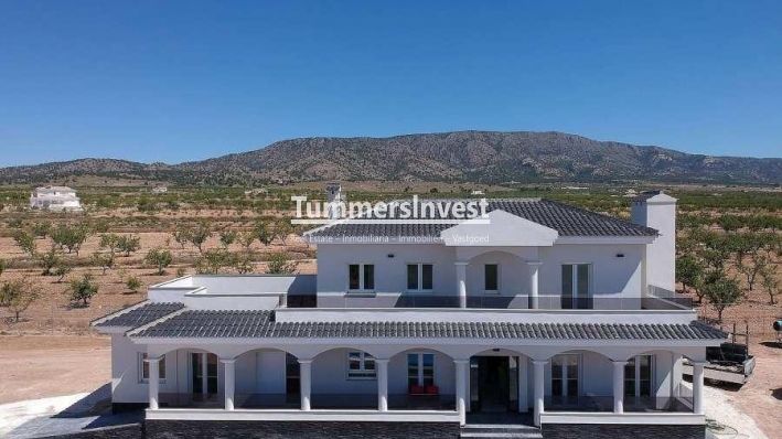 Villa - Nieuwbouw Woningen - Pinoso - NBR-86942