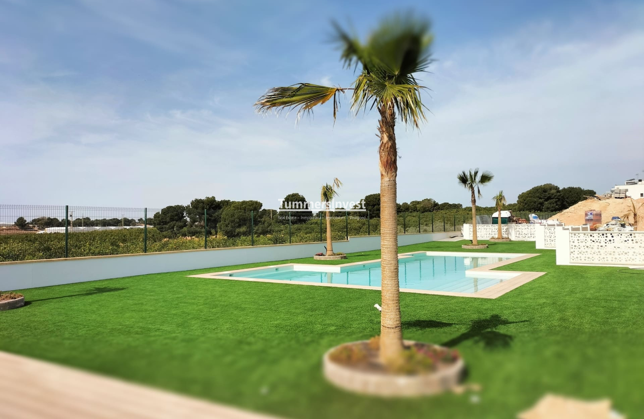 Neue Gebäude · detached · Pilar de la Horadada