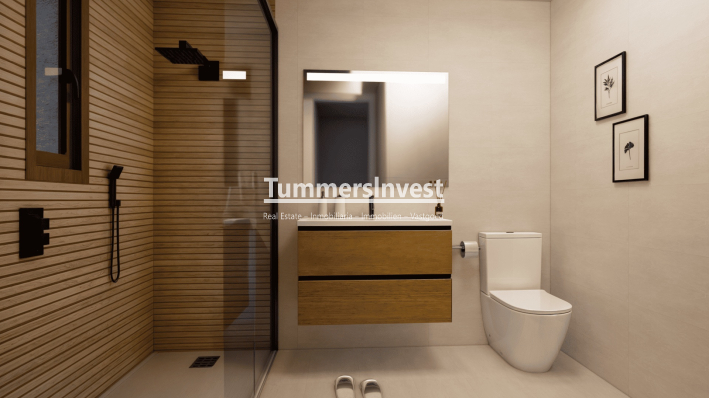 New Build · detached · Torre-Pacheco