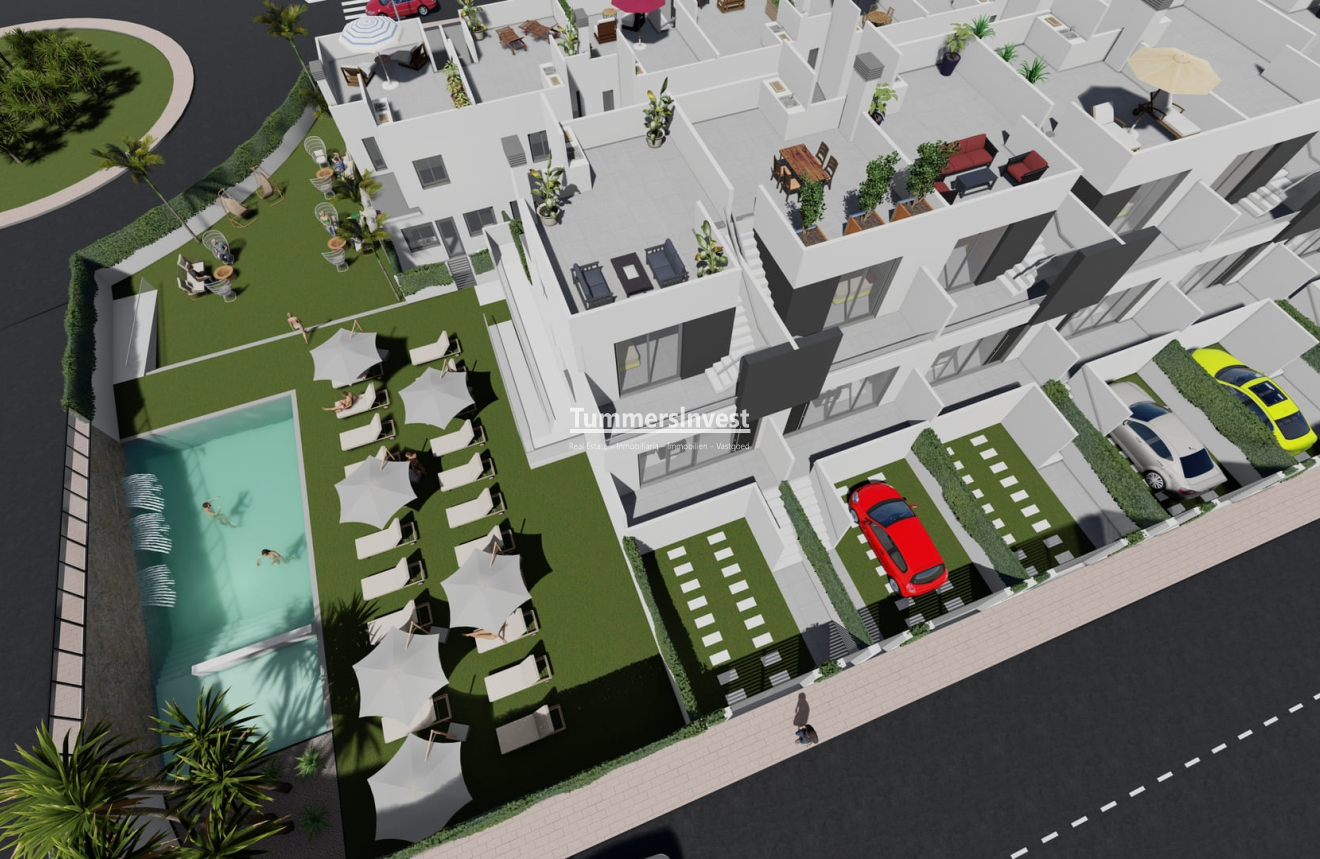 New Build · terraced · Cox