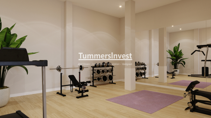 Nieuwbouw Woningen · Penthouse · Algorfa