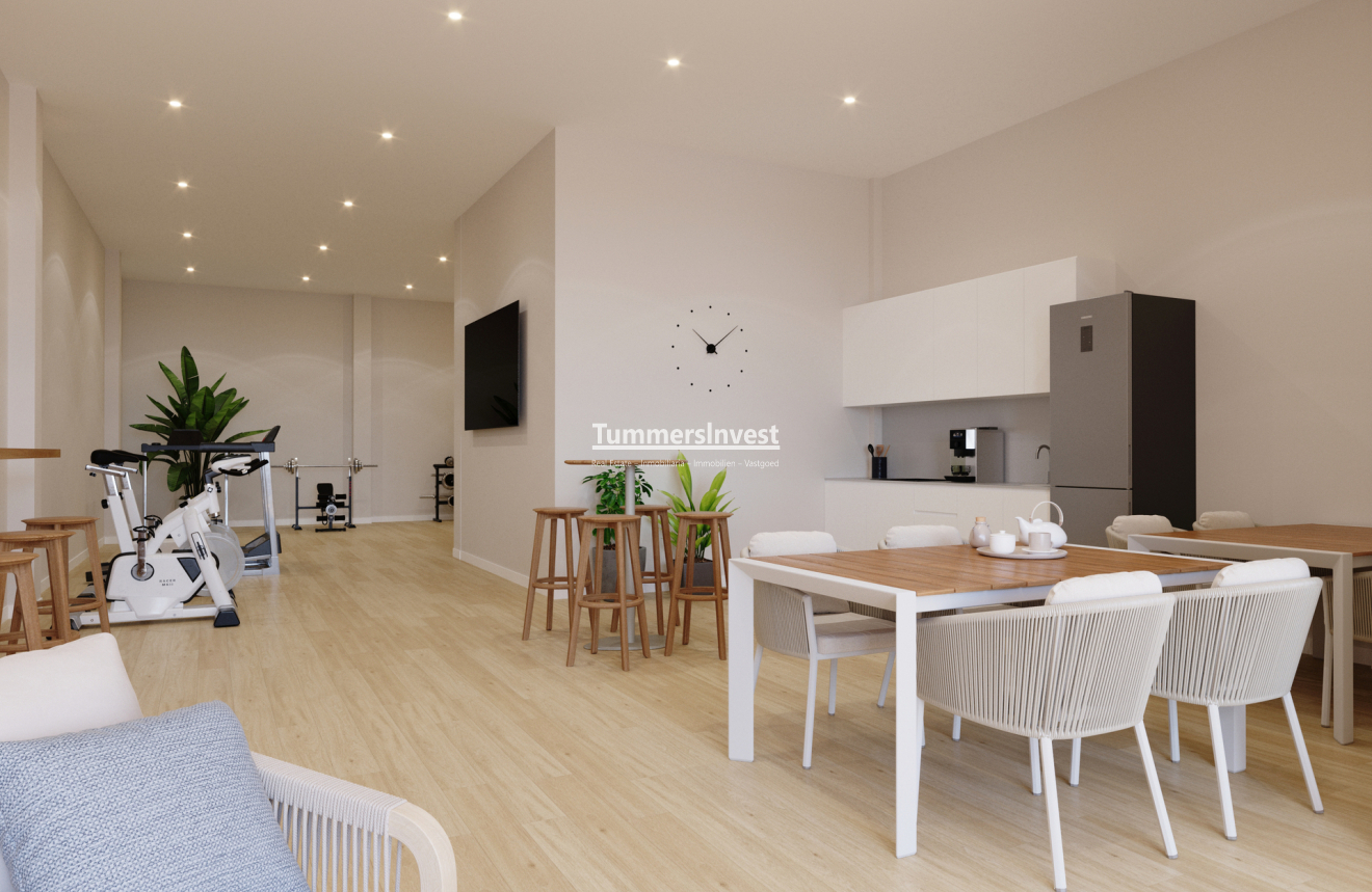New Build · Penthouse · Algorfa