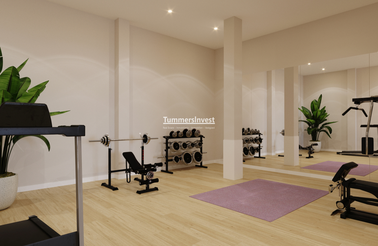 New Build · Penthouse · Algorfa