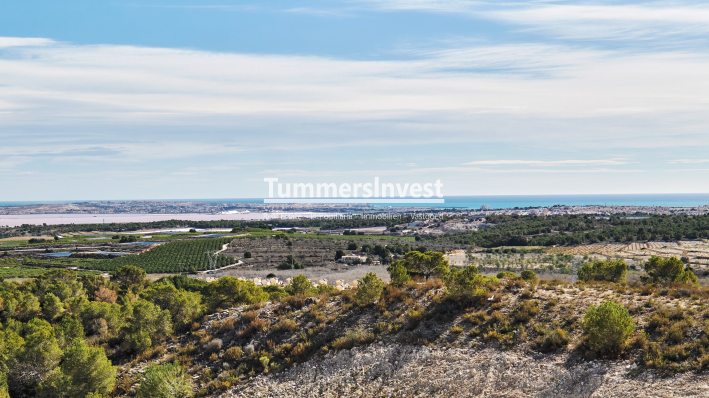 Obra nueva · Villa · San Miguel de Salinas