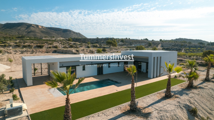 New Build · detached · Pinoso