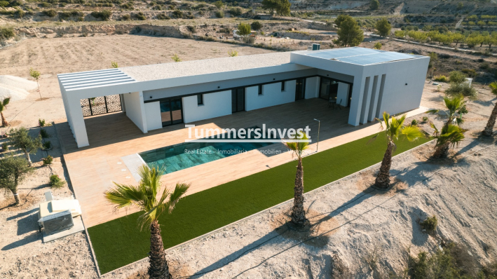 New Build · detached · Pinoso
