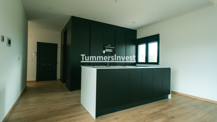 New Build · detached · Pinoso