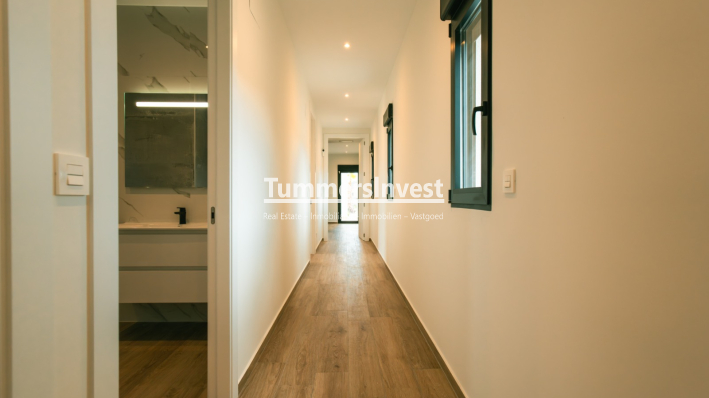 New Build · detached · Pinoso