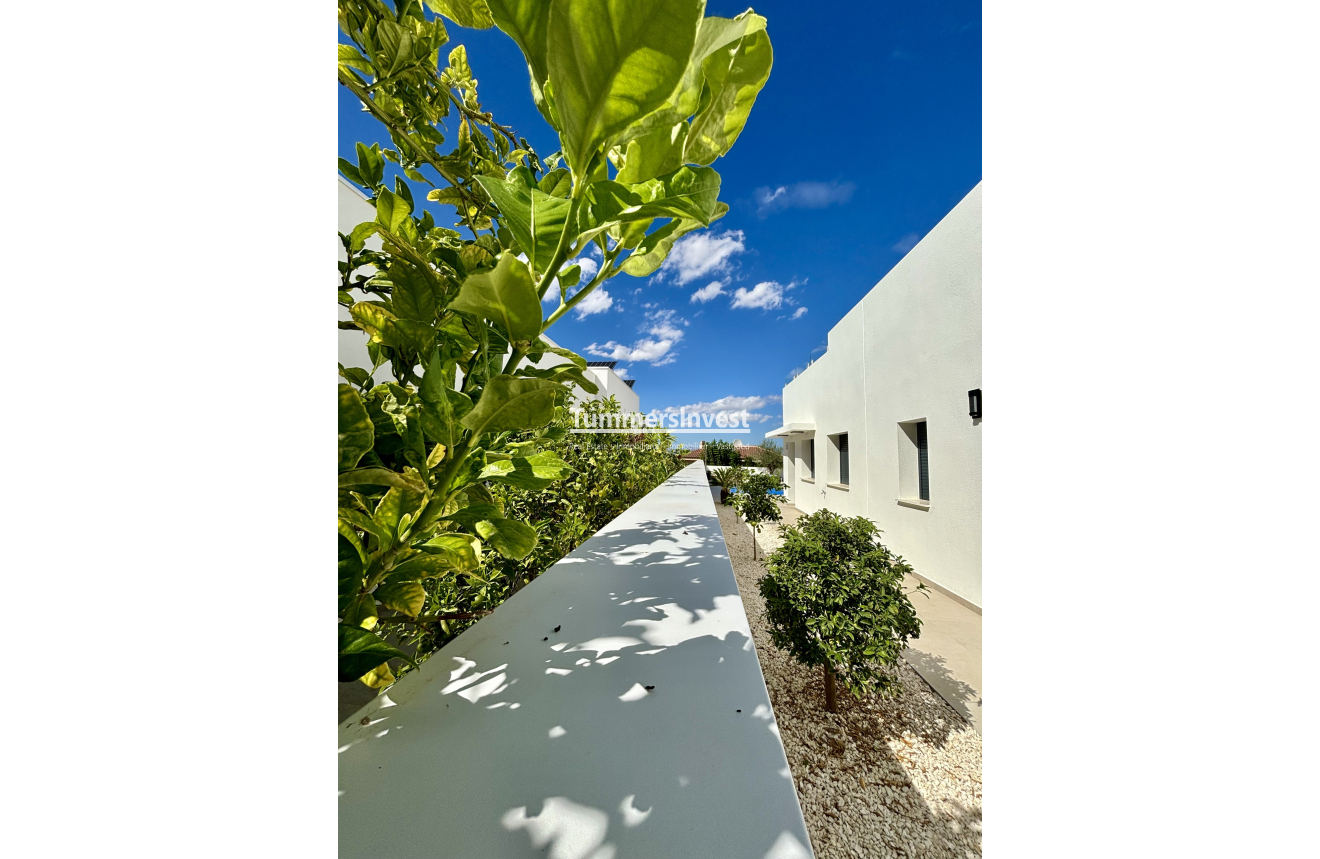 New Build · detached · Benijofar