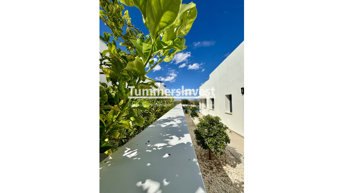 New Build · detached · Benijofar