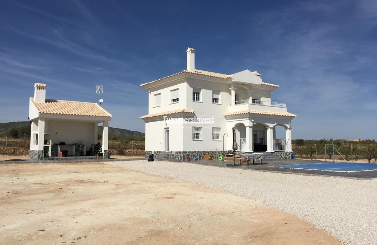 Neue Gebäude · Villa · Pinoso · Camino Del Prado