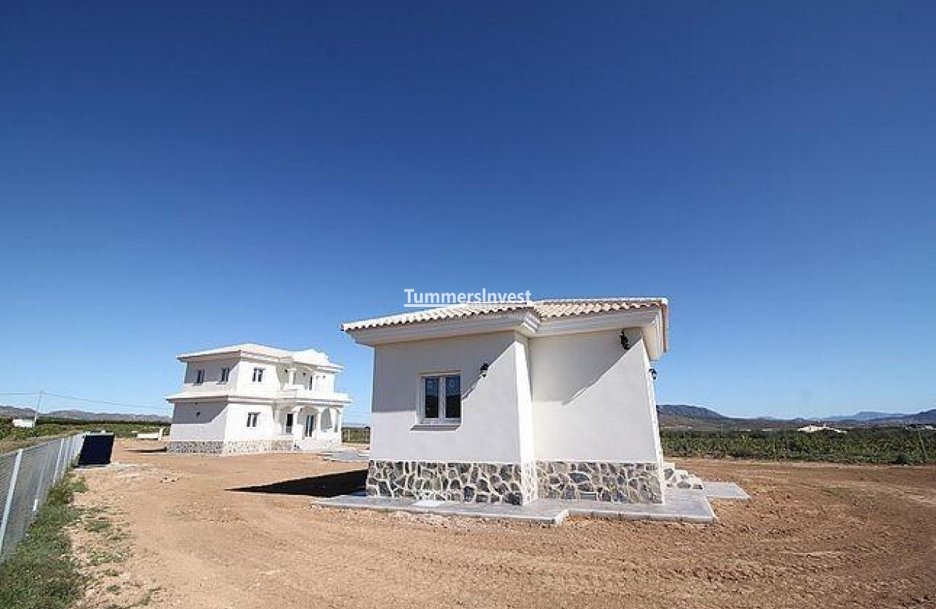 Neue Gebäude · Villa · Pinoso · Camino Del Prado