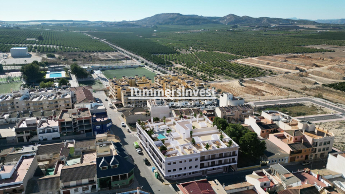 Obra nueva · Ático · Algorfa · Pueblo