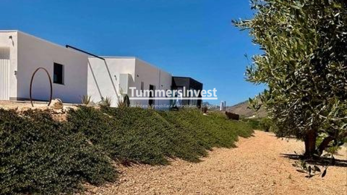 Nieuwbouw Woningen · Villa · Jumilla · Torre del Rico