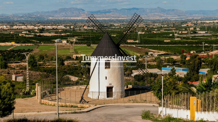 Obra nueva · Villa · Rojales · Doña Pena