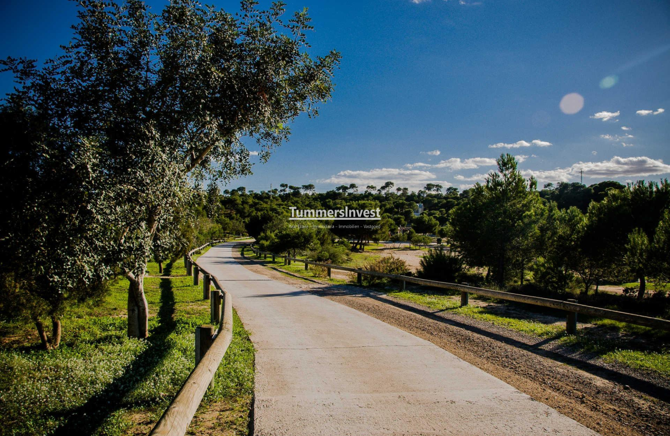 Obra nueva · Villa · Rojales · Ciudad Quesada