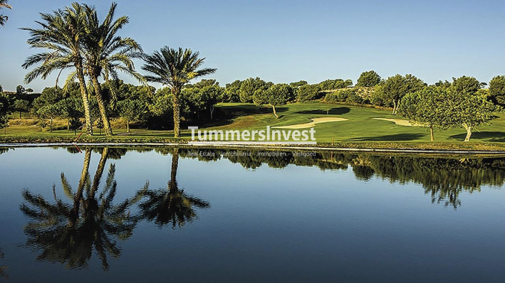 Obra nueva · Ático · Monforte del Cid · Alenda Golf