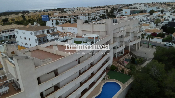 Obra nueva · Apartment · Orihuela Costa · Pau 8