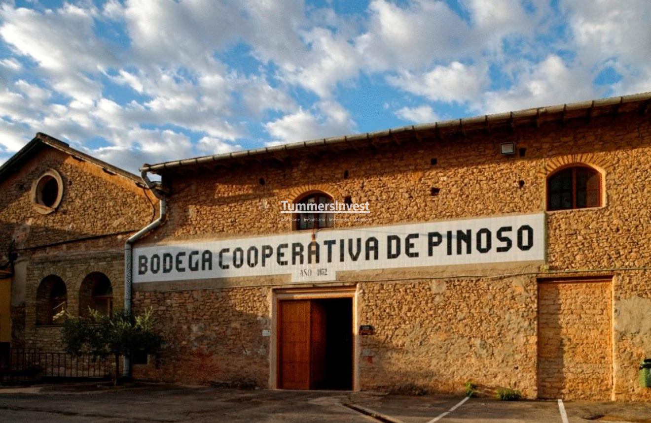 Obra nueva · Villa · Pinoso · Campo