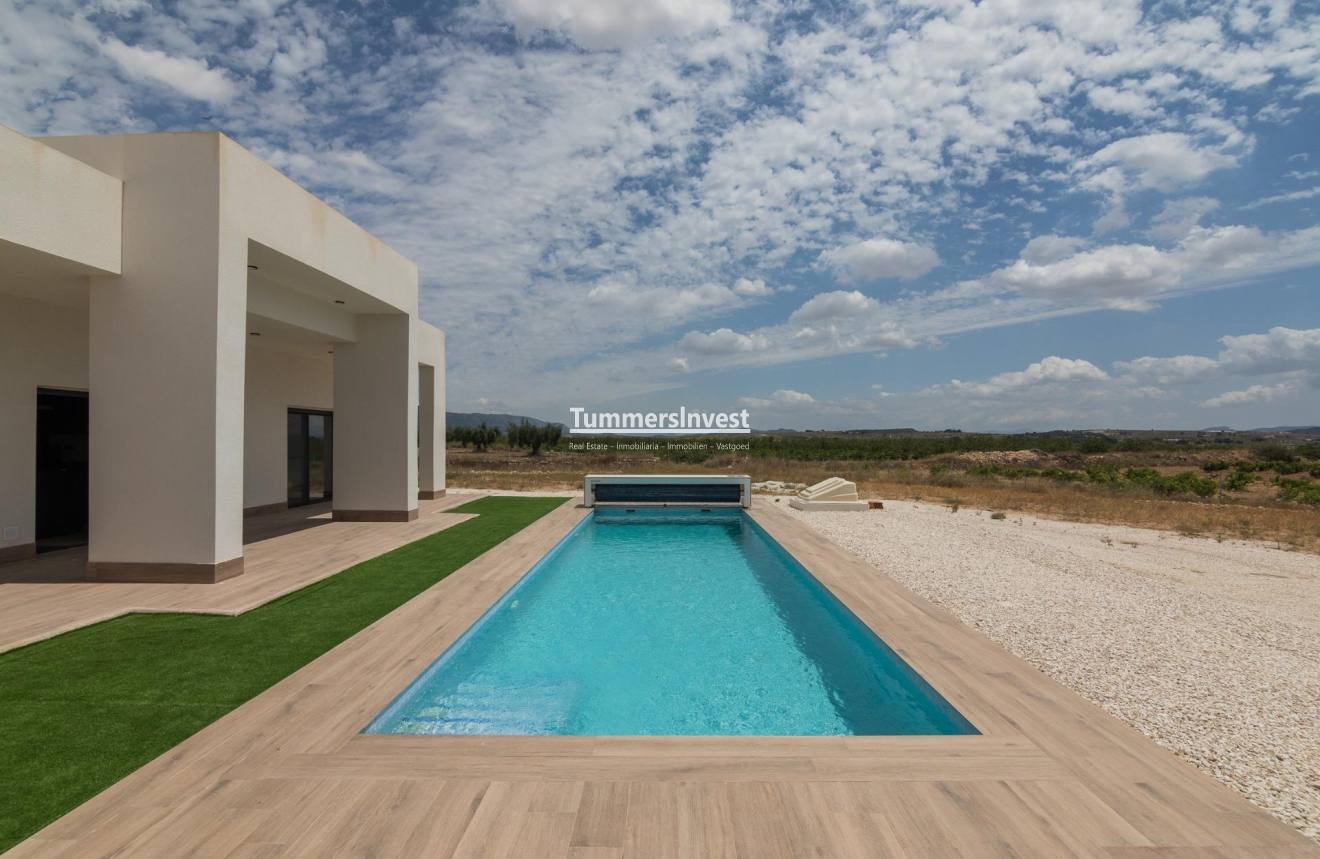 New Build · Villa · Pinoso · Campo