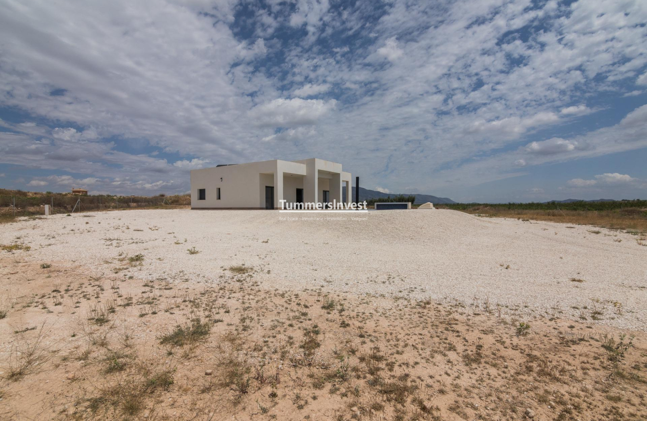 Obra nueva · Villa · Pinoso · Campo