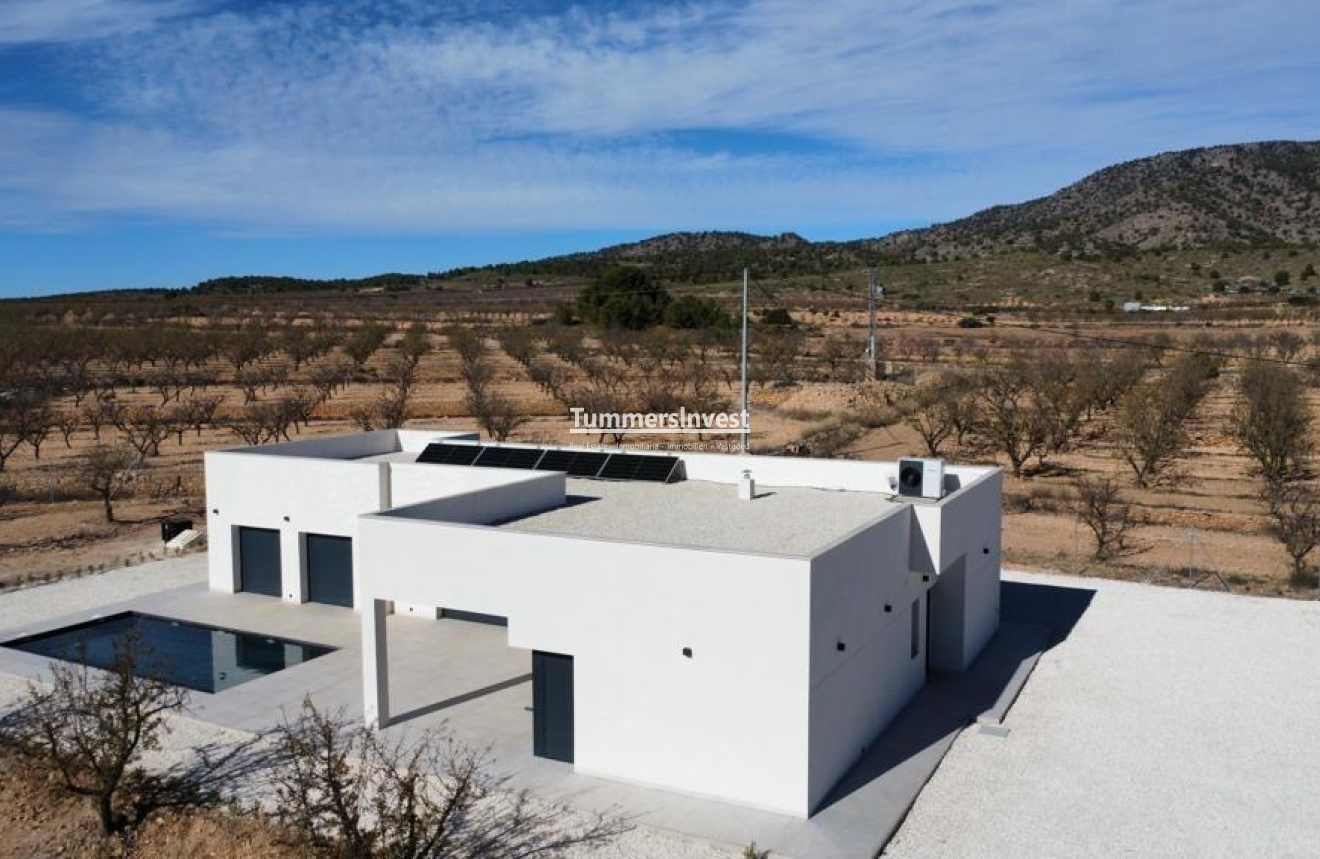 New Build · Villa · Pinoso · Campo