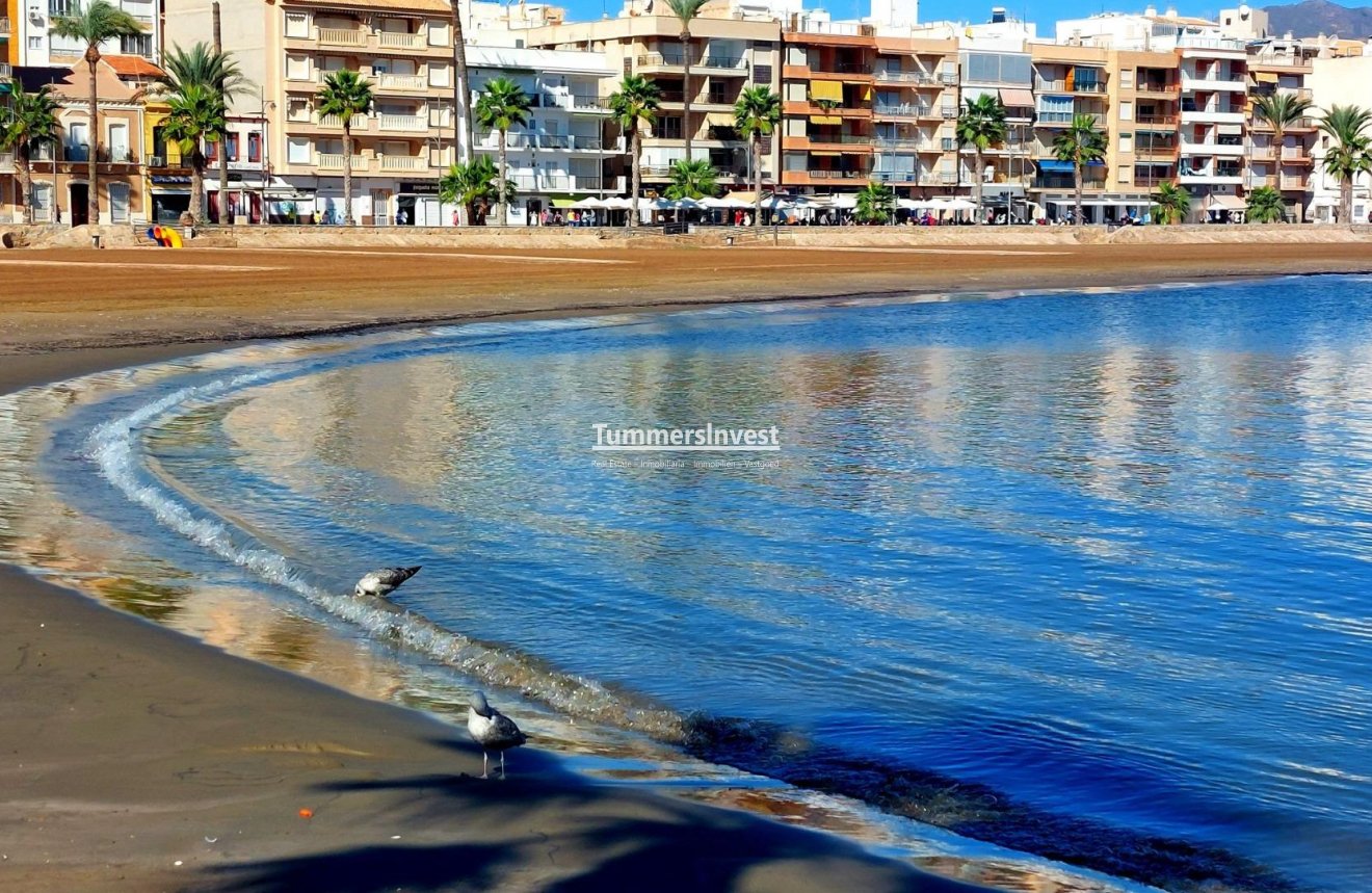 Obra nueva · Villa · Fuente Álamo · La Pinilla