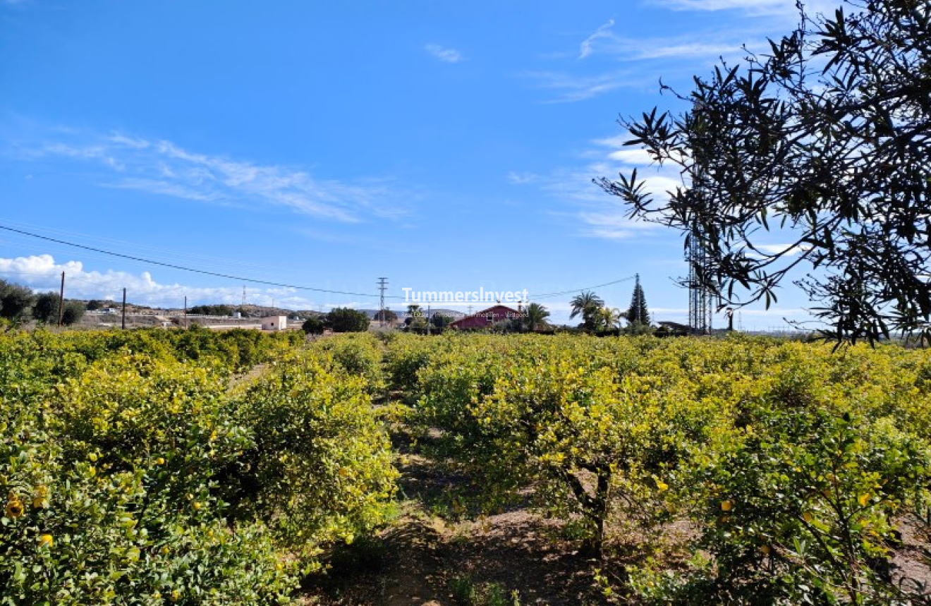 Wiederverkauf · Villa · Elche / Elx · Jubalcoi