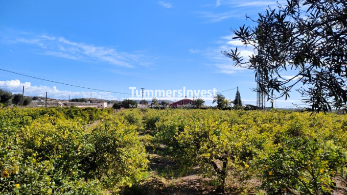 Wiederverkauf · Villa · Elche / Elx · Jubalcoi