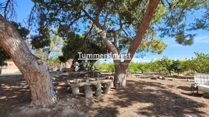 Wiederverkauf · Villa · Elche / Elx · Jubalcoi