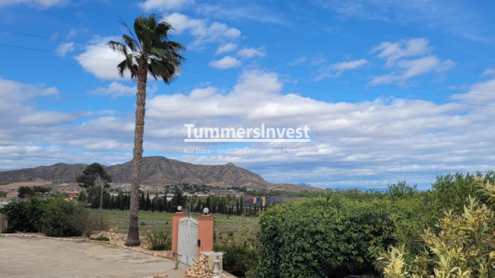 Wiederverkauf · Villa · Aspe · Pedanías Oeste
