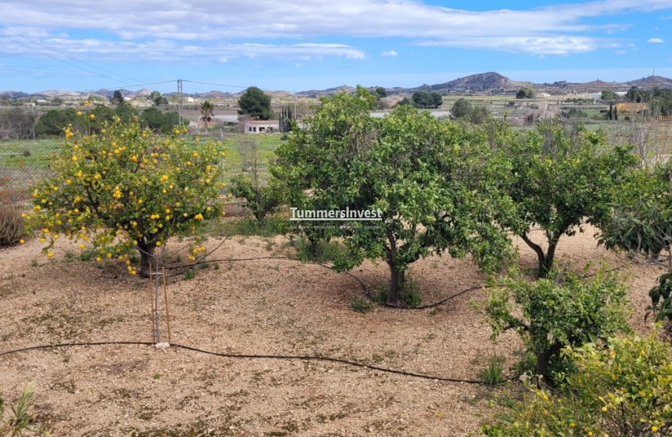 Wiederverkauf · Villa · Aspe · Pedanías Oeste