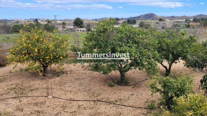Wiederverkauf · Villa · Aspe · Pedanías Oeste