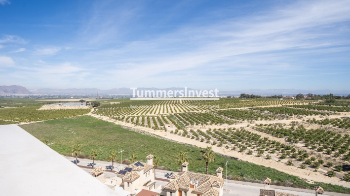Obra nueva · Villa · Algorfa · La Finca Golf