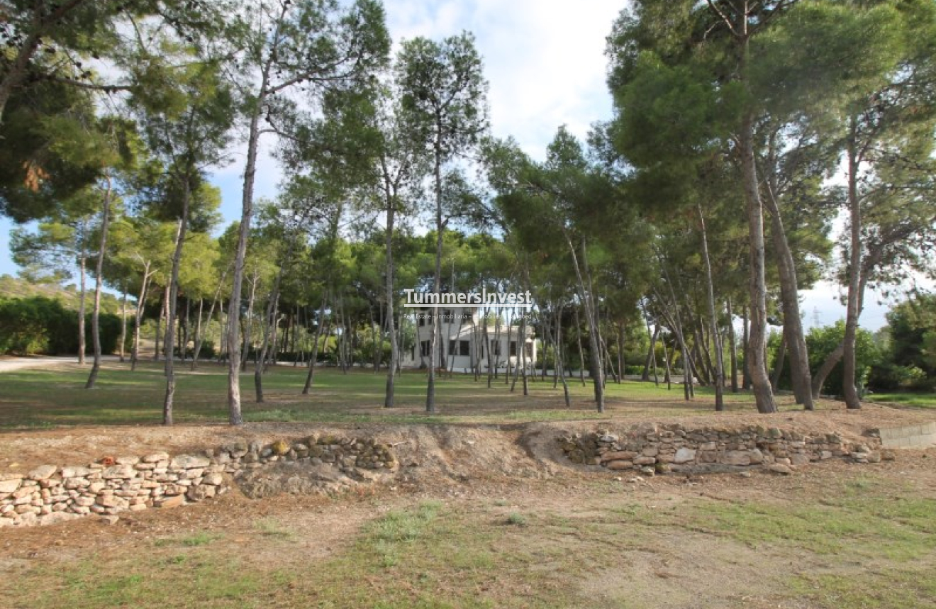 Resale · Villa · Aspe · Pedanías Este