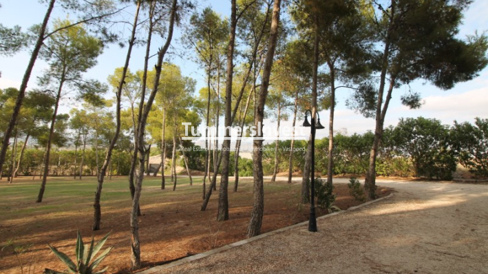 Resale · Villa · Aspe · Pedanías Este