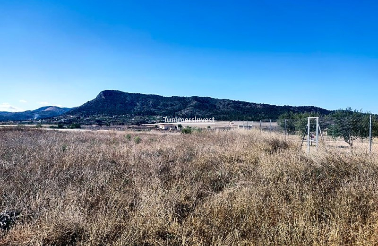 Reventa · Land · Aspe · Pedanías Oeste