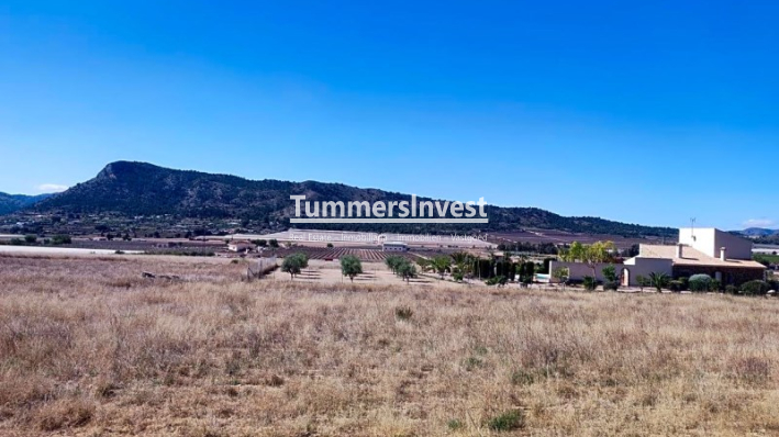Reventa · Land · Aspe · Pedanías Oeste