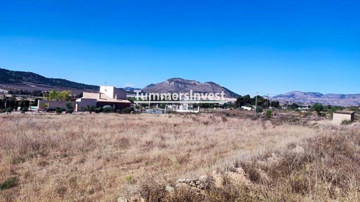 Reventa · Land · Aspe · Pedanías Oeste