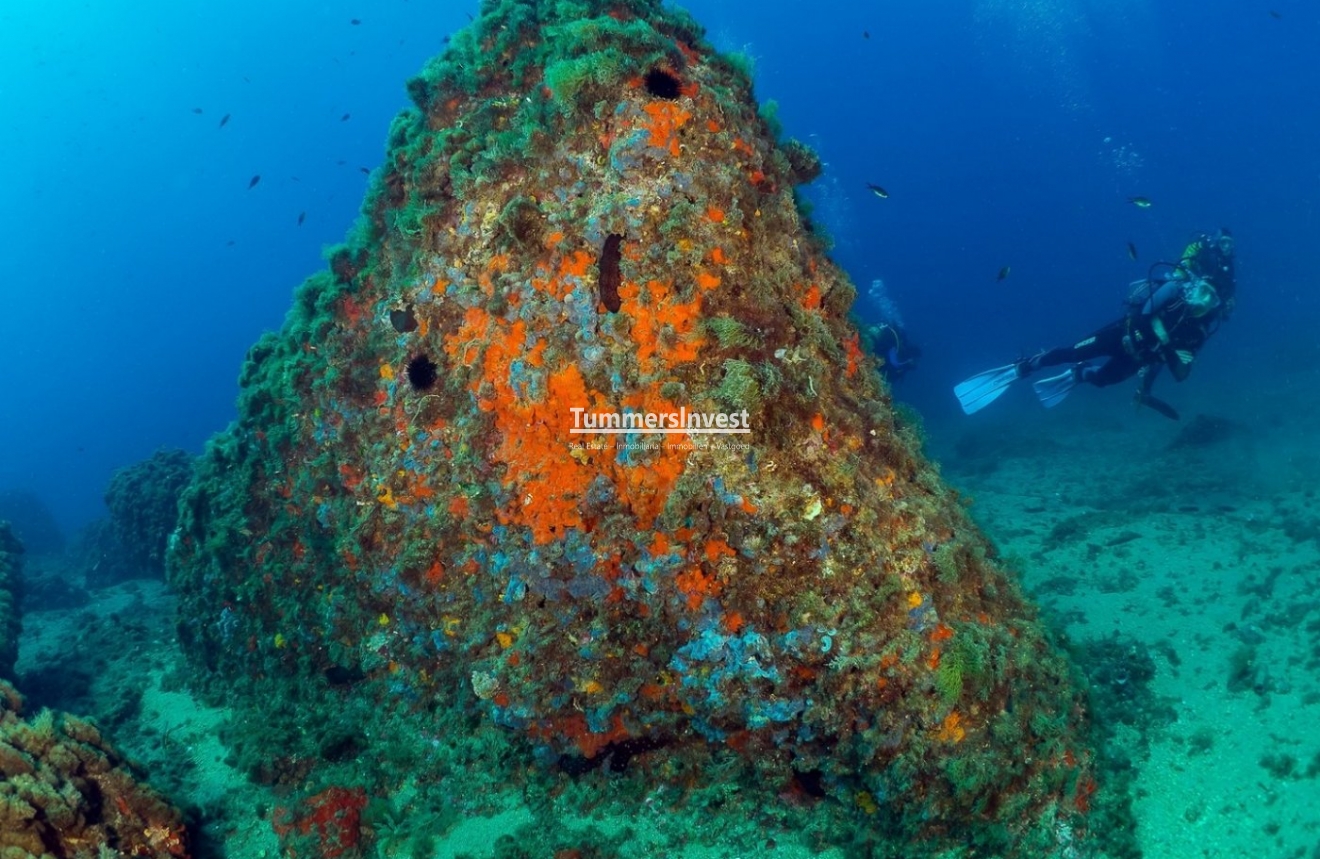 Obra nueva · Ático · Aguilas · Isla Del Fraile