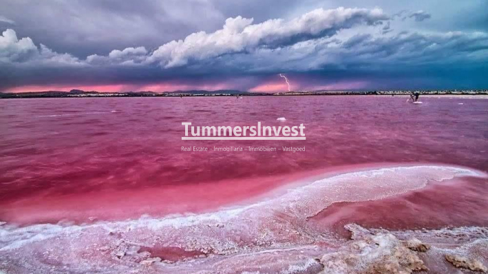 New Build · Apartment · Torrevieja · Centro