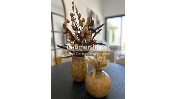 Nieuwbouw Woningen · Bungalow · San Fulgencio · Pueblo