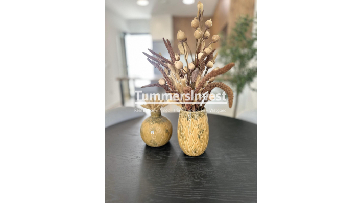 Nieuwbouw Woningen · Bungalow · San Fulgencio · Pueblo